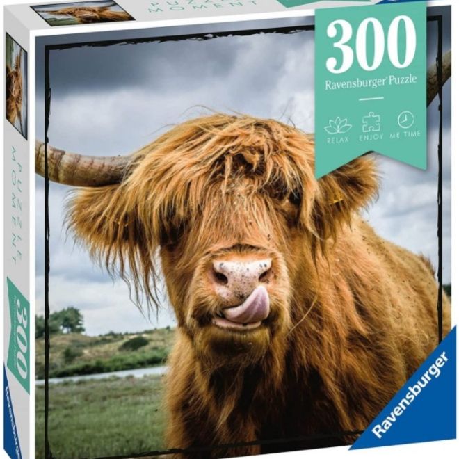 300dílné puzzle, skotská kráva