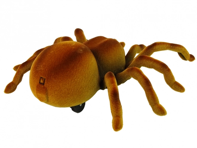 Dálkově ovládaný pavouk Tarantula Infrared Brown R/C