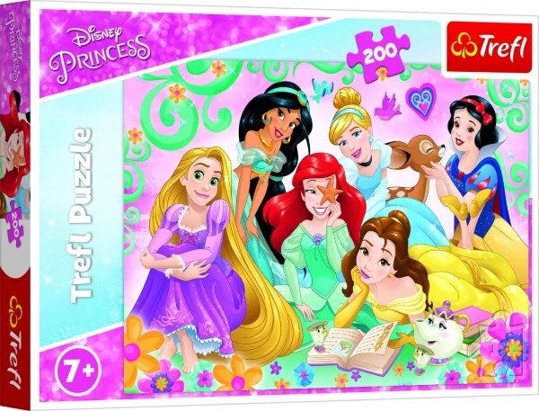 Puzzle Šťastný svět princezen/Disney Princess 200 dílků 48x34cm v krabici 33x23x4cm