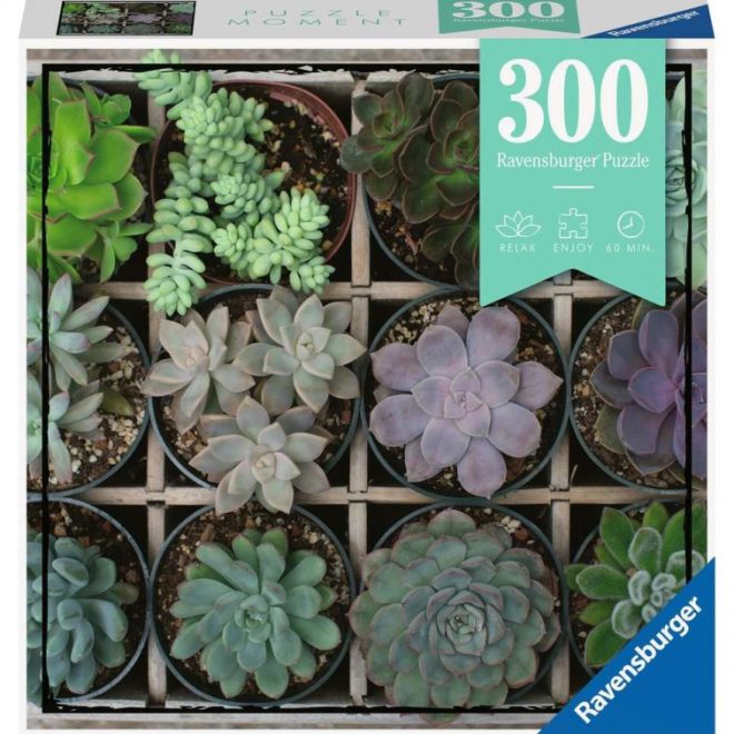 Puzzle 300 dílků Rostliny
