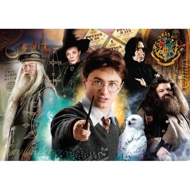 Puzzle 1000 dílků Kompaktní Harry Potter