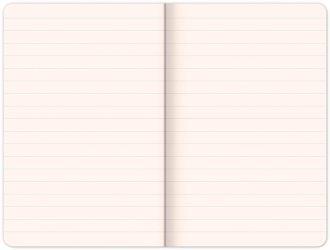 Luxusní notes Notique černošedý linkovaný
