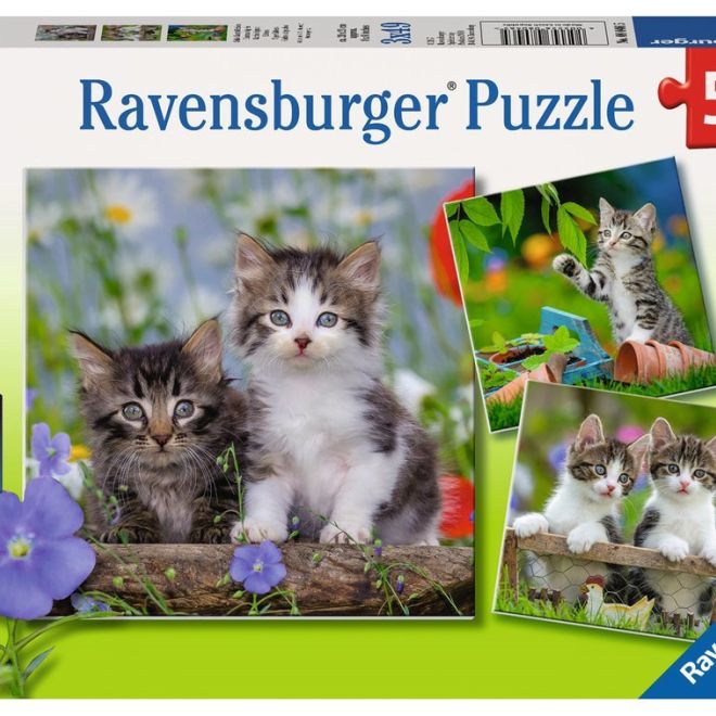 RAVENSBURGER Puzzle Koťata 3x49 dílků