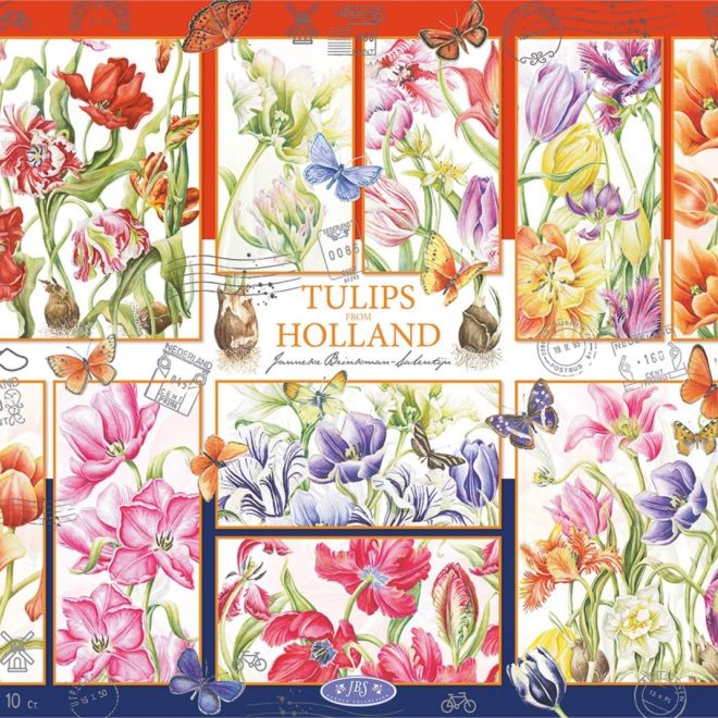 JUMBO Puzzle Holandské tulipány 1000 dílků