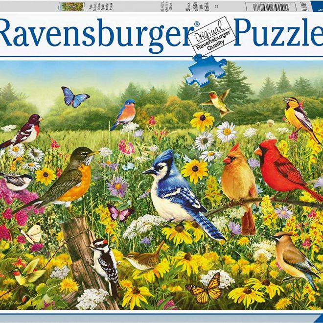 RAVENSBURGER Puzzle Ptáci na louce 500 dílků