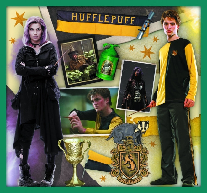 Puzzle Harry Potter - Ve světě Harryho Pottera 10v1