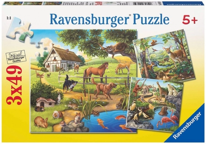 Ravensburger puzzle Zvířata v lese, ZOO a na statku