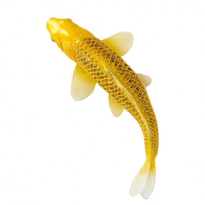 Mojo kapr koi Matsuba