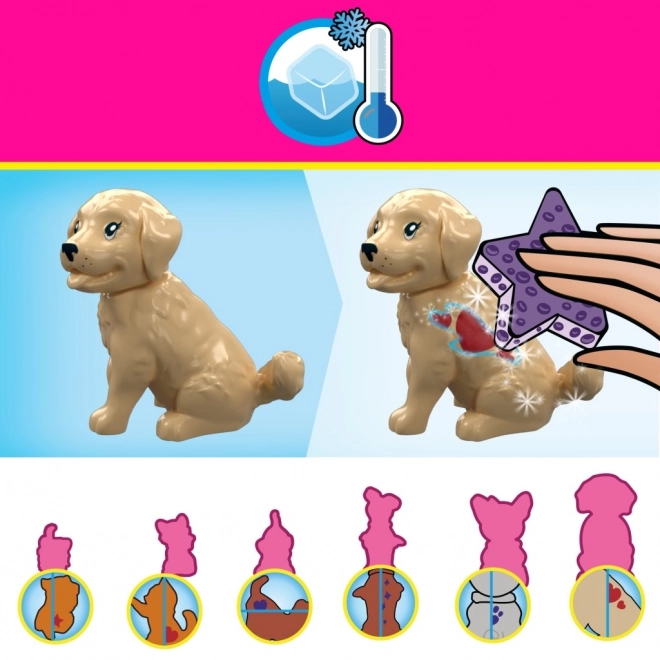 Barbie Color Reveal bloky Výcvik a péče o zvířata