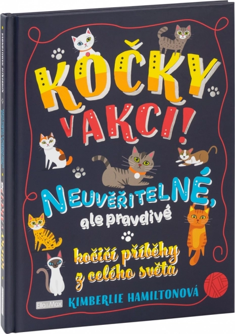 KOČKY V AKCI! – Neuvěřitelné kočičí příběhy