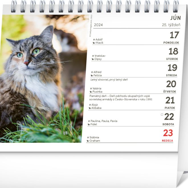 Stolový kalendár Mačky – s menami mačiek 2024, 16,5 × 13 cm