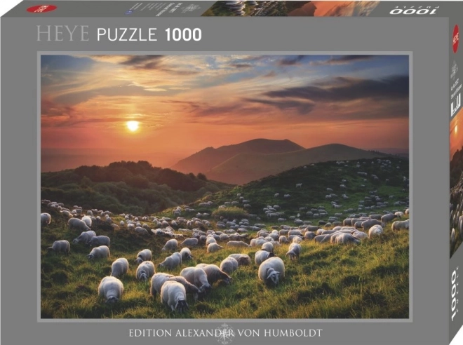 HEYE Puzzle Ovce a sopky 1000 dílků