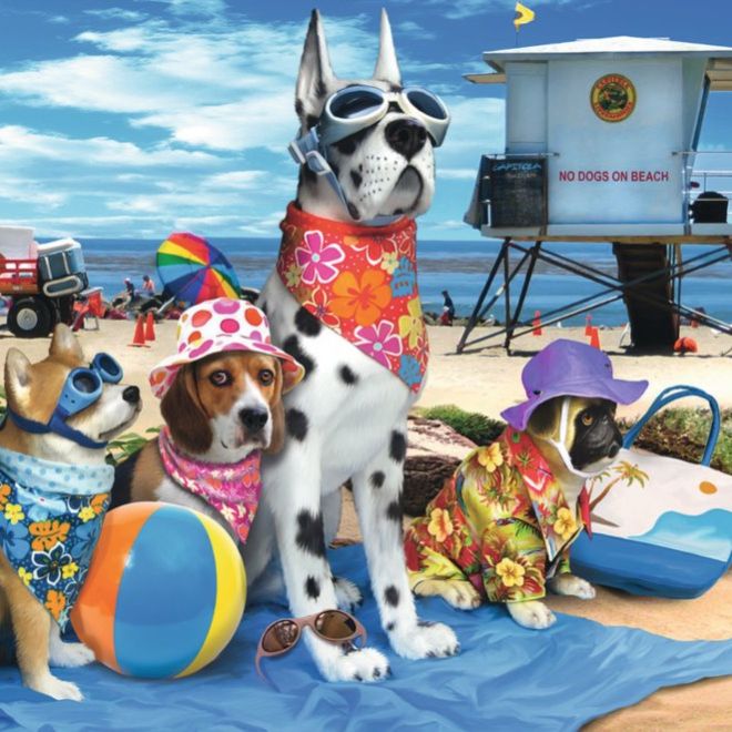 RAVENSBURGER Puzzle Zákaz psů na pláži XXL 100 dílků