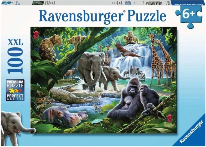 Puzzle Zvířata z džungle XXL