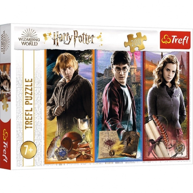 Puzzle Harry Potter: Ve světě magie a čarodějnictví