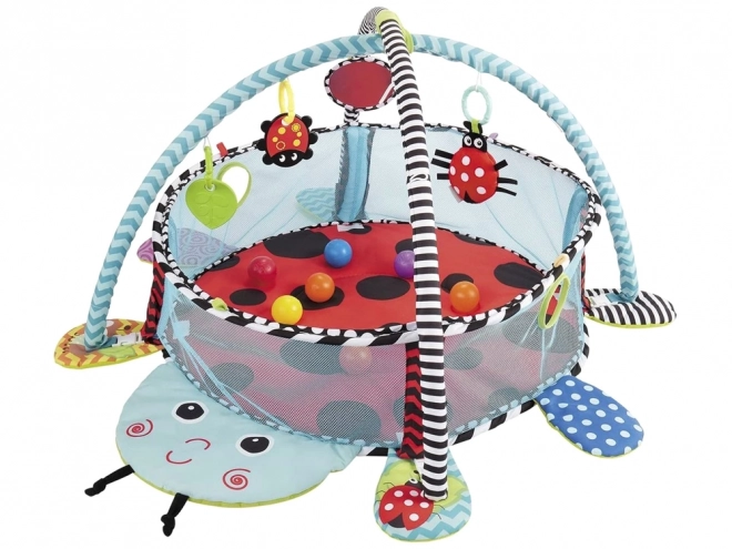 Vzdělávací podložka Ladybird Playpen Balls pro děti