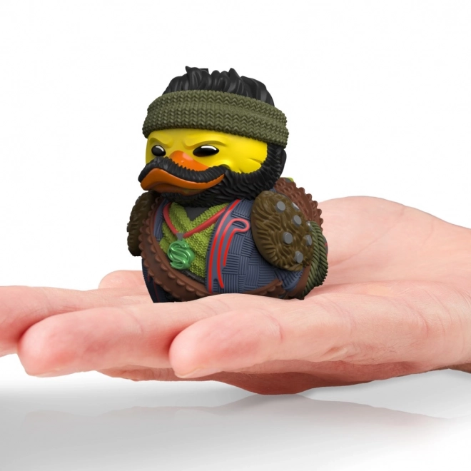 Kachnička inspirovaná Destiny: The Drifter