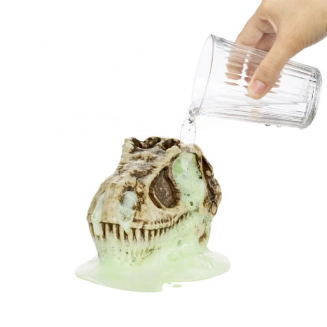 Dinosaurus lebka GrossMos série 1