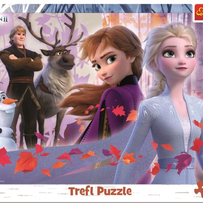 TREFL Puzzle Ledové království: Dobrodružství 25 dílků