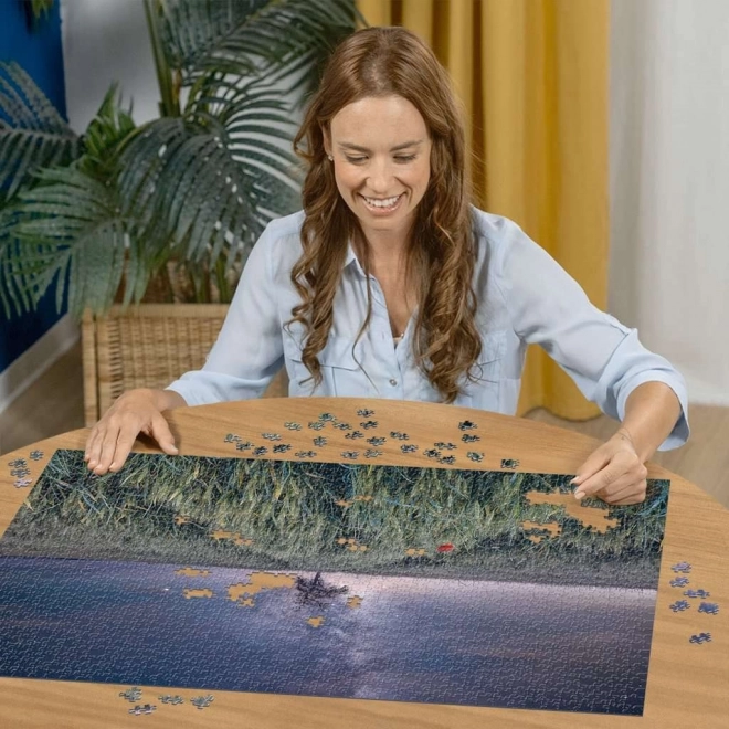 Puzzle RAVENSBURGER Noční obloha nad obilným polem