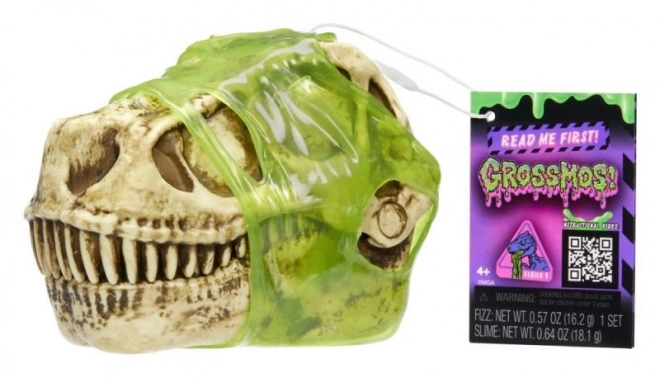 Dinosaurus lebka GrossMos série 1