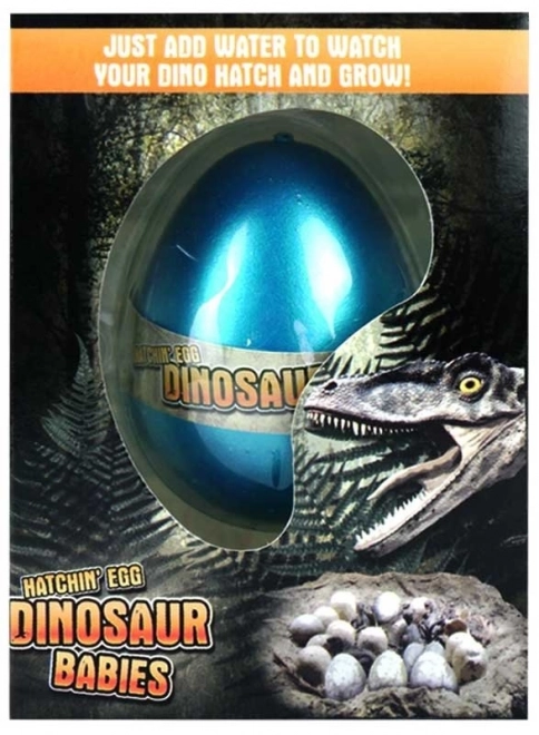 Rostoucí vejce Dinosaurus 1ks (mix)