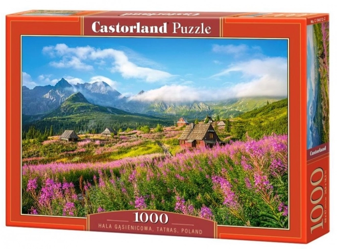 Puzzle 1000 dílků Hala Gąsienicowa Tatry Polsko