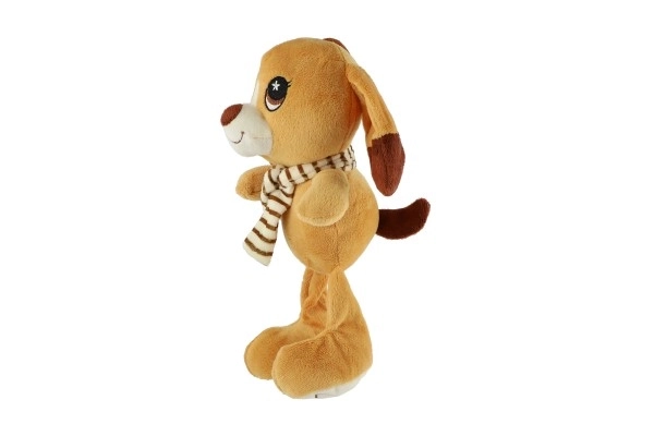 Zvířátko plyš 30 cm 6 druhů 0m+