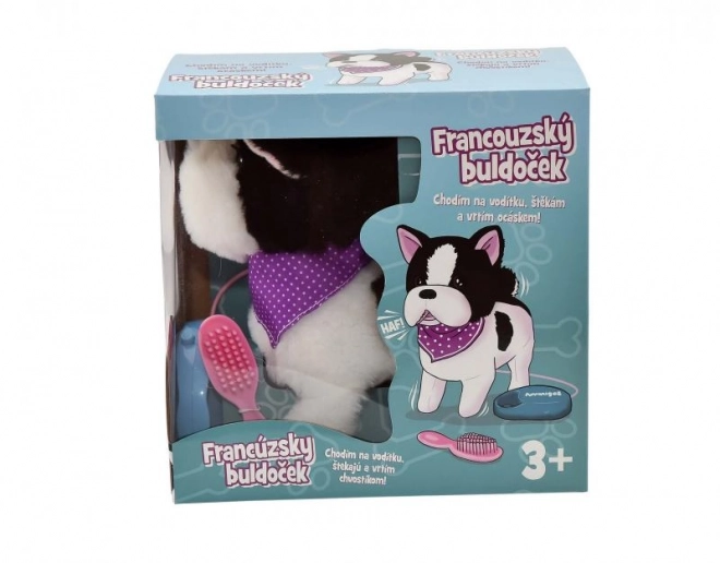 Francouzský buldoček chodící