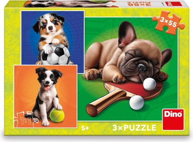 Dino puzzle psí sportovci 3x55 dílků