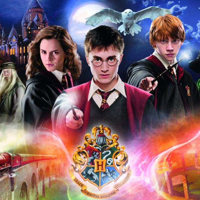 Puzzle Harry Potter - Tajemství Harryho Pottera 300 dílků