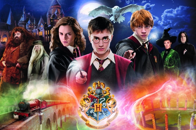 Tajemný Harry Potter puzzle 300 dílků