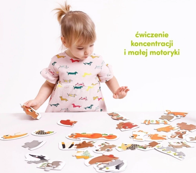 Progresivní puzzle - Zvířátka v lese