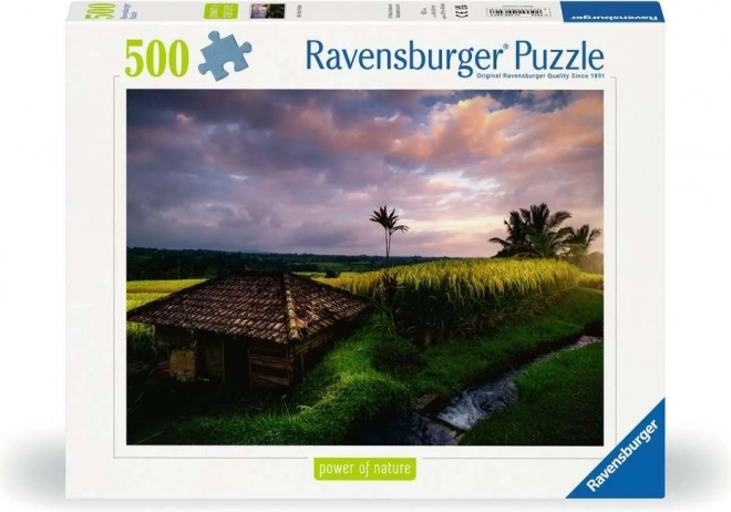 Puzzle Rýžová pole na Bali 500 dílků