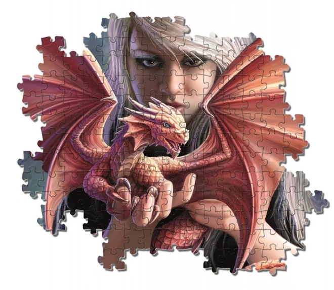 Puzzle 1000 dílků Anne Stokes Dragonkin Collection