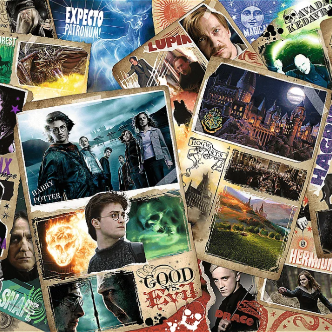 Puzzle Harry Potter 2000 dílků