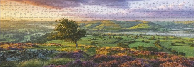 Panoramatické puzzle purpurový rozkvět