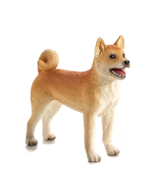 Mojo Pes Shiba Inu