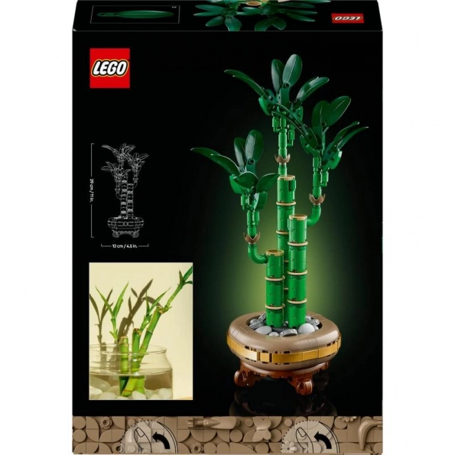 Lego Botanicals Dracena Sandera