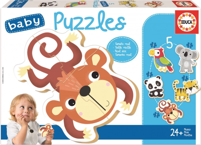 EDUCA Baby puzzle Divoká zvěř 5v1 (3-5 dílků)