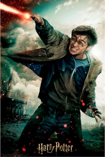 3D puzzle Harry Potter Harry