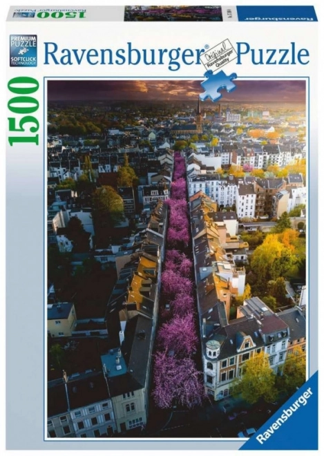 Puzzle 1500 prvků Bonn. Německo