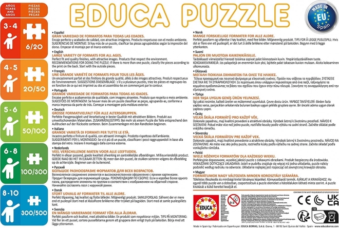 EDUCA Puzzle Péče o koně 2x48 dílků