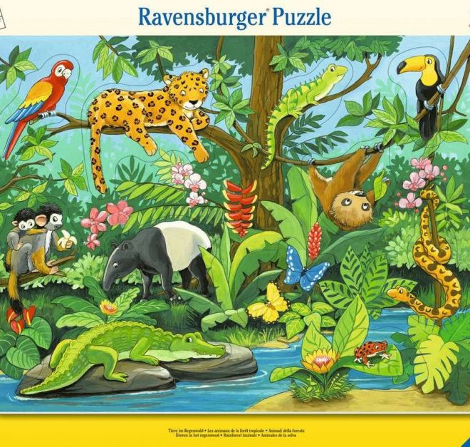 Puzzle 11 dílků Zvířata deštného pralesa
