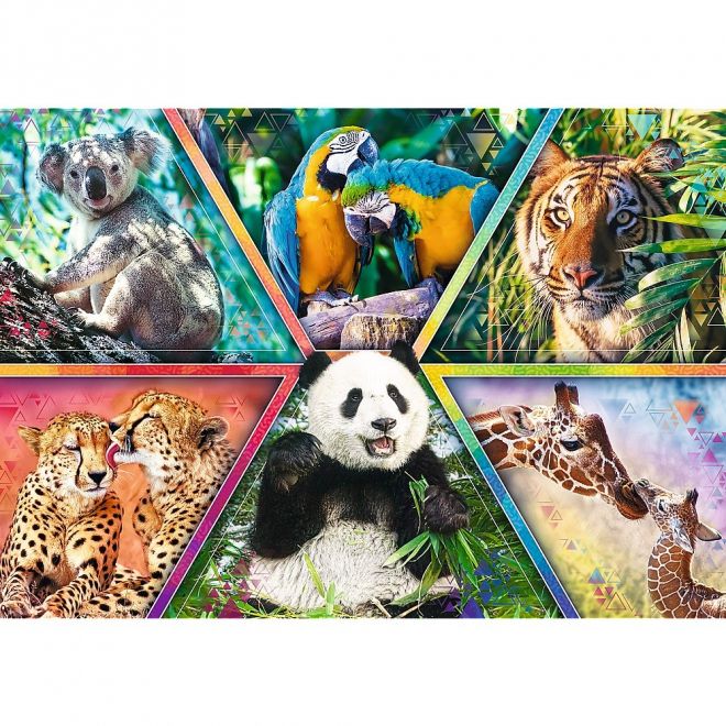 Puzzle 1000 prvků Animal Kingdom Animal Planet