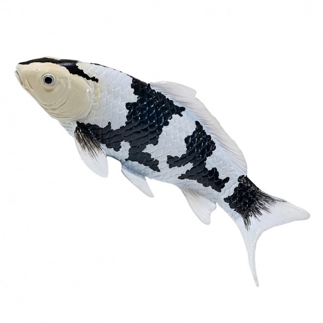 Mojo kapr Koi Shiro Utsuri