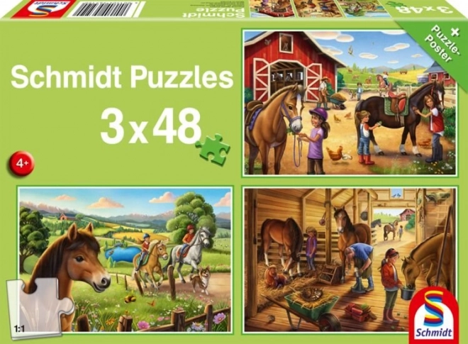 SCHMIDT Puzzle Moje oblíbení koníci 3x48 dílků