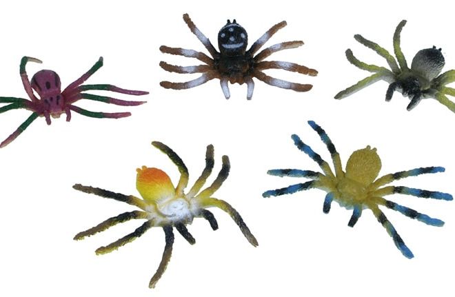 Pavouci - 5 kusů