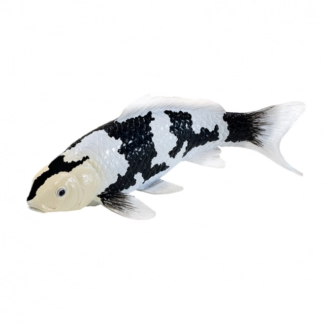 Mojo kapr Koi Shiro Utsuri