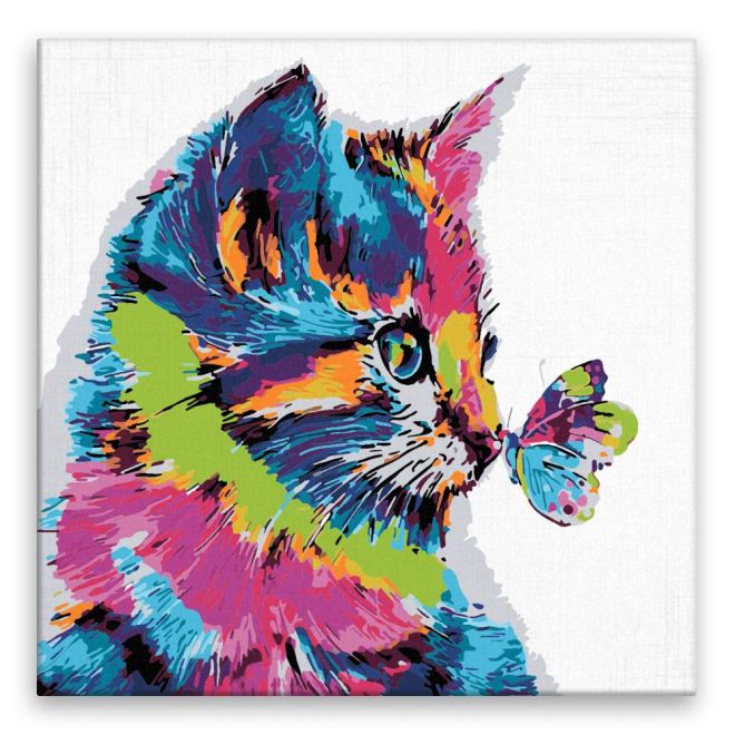 Sada na diamantové malování - barevná kočka s motýlkem